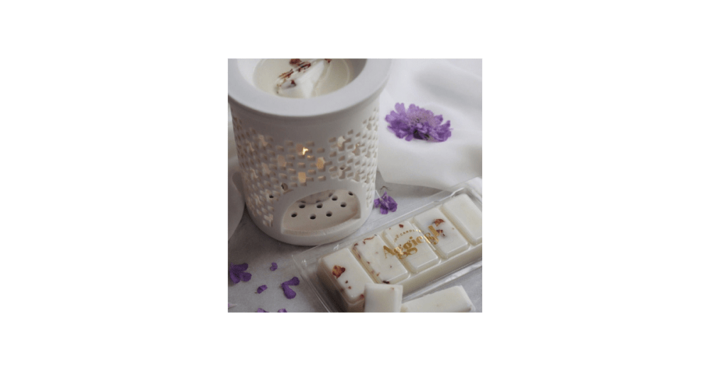 Final Sale: 30% Off Soy Wax Melts – Shop Before They're Gone - Aggie & I Soy Candles