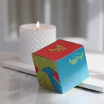 Handmade Irish Soy Candles - Coconut & Lime Candle Refill - By Aggie & I Soy Candles